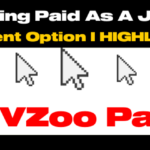 JVZoo Now Pays Affiliate Commissions To Your Wise Account